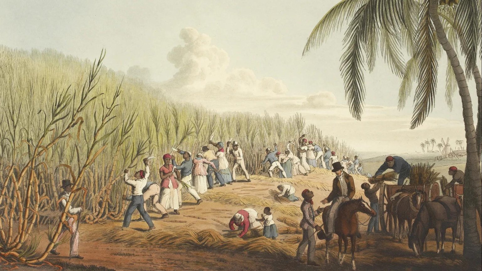 Slaves working on sugar plantations.